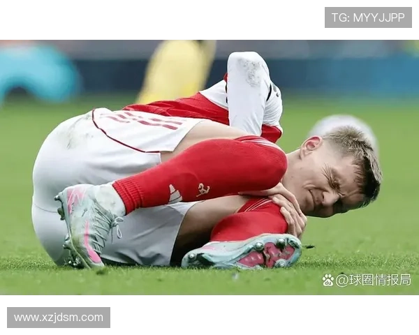 齐尔克泽训练伤小腿或休战数周